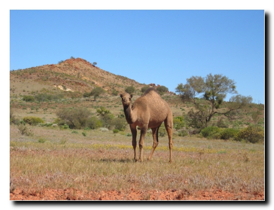 20c Wer steht da dumm im Weg herum